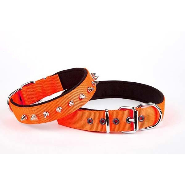 Doggie 2,5x37-45 Cm Konfor Dokuma Çivili Boyun Tasması Turuncu | Köpek Boyun Tasması