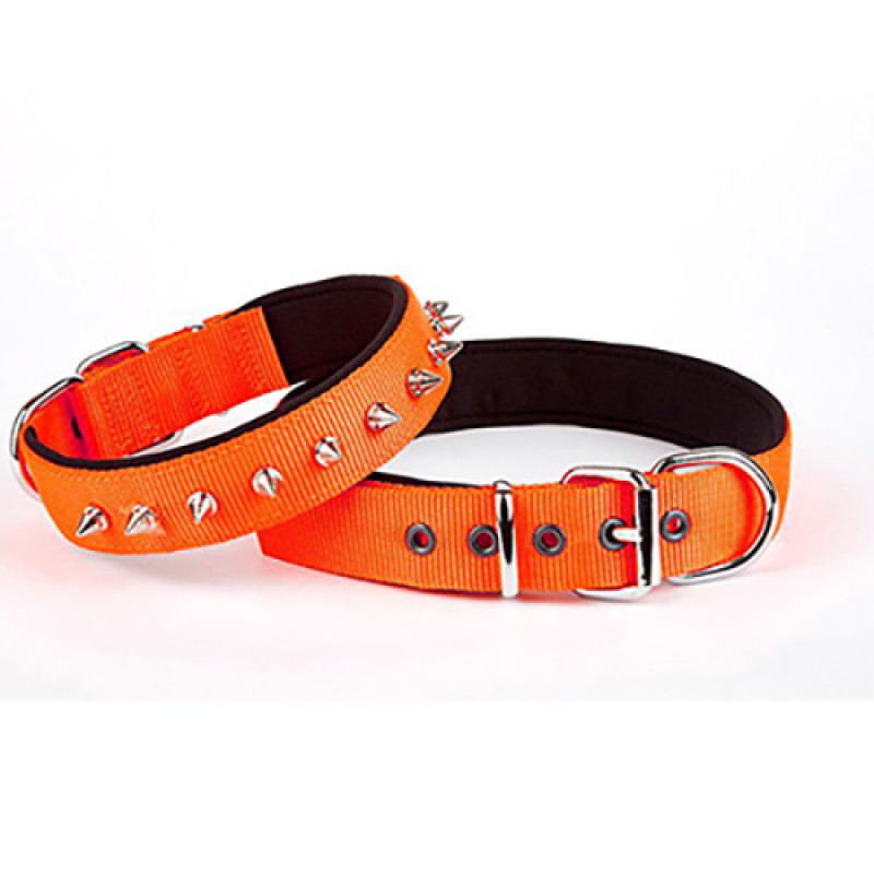 Doggie 2,5x37-45 Cm Konfor Dokuma Çivili Boyun Tasması Turuncu | Köpek Boyun Tasması Doggie 2,5x37-45 Cm Konfor Dokuma Çivili Boyun Tasması Turuncu | Köpek Boyun Tasması