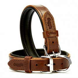 2,5x37-45 Cm Yumuşak Firstclass Deri Boyun Tasma Kahverengi | Köpek Boyun Tasması 2,5x37-45 Cm Yumuşak Firstclass Deri Boyun Tasma Kahverengi | Köpek Boyun Tasması