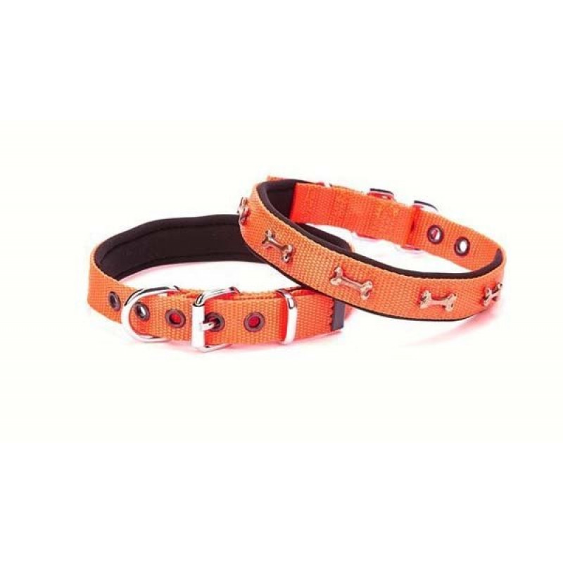 Doggie 2x40 Cm Comfort Dokuma Kemikli Boyun Tasması Medium Turuncu | Köpek Boyun Tasması Doggie 2x40 Cm Comfort Dokuma Kemikli Boyun Tasması Medium Turuncu | Köpek Boyun Tasması