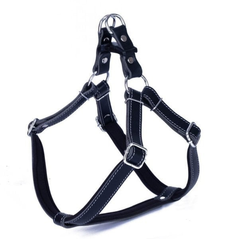 Doggie 2x55 65 Cm Konfor Ronin Deri Göğüs Tasması Siyah | Köpek Göğüs Tasması