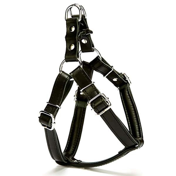 Doggie 2x55 Cm Fırstclass Deri Ronın Göğüs Tasması Medium Siyah | Köpek Göğüs Tasması