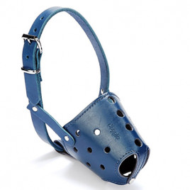 2x80-80cm Kısa Burun Koruma Deri Ağızlık Royalblue | Köpek Ağızlığı 2x80-80cm Kısa Burun Koruma Deri Ağızlık Royalblue | Köpek Ağızlığı