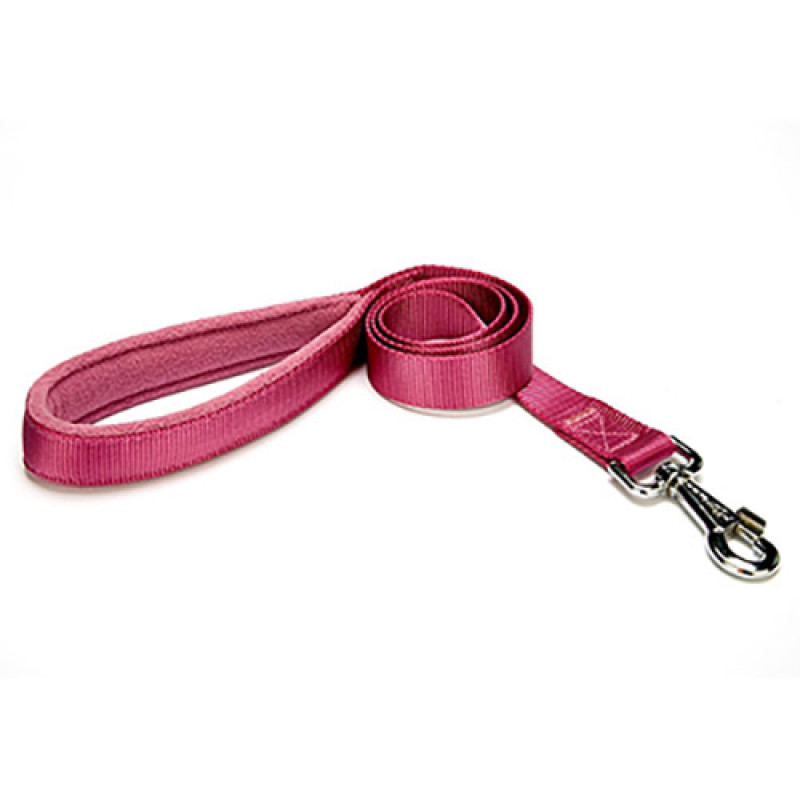 Doggie 3x100 Cm Polar Saplı Dokuma Gezdirme Kayışı Purple | Köpek Gezdirme Tasması Doggie 3x100 Cm Polar Saplı Dokuma Gezdirme Kayışı Purple | Köpek Gezdirme Tasması