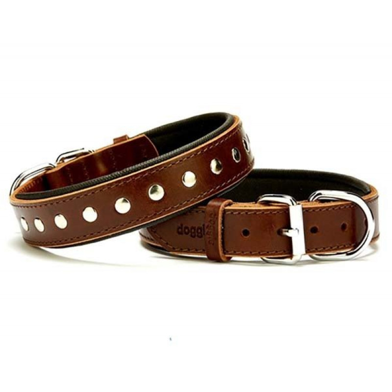 Doggie 3x50 Cm Comfort Deri Rivetli Boyun Tasması Medium Kahverengi | Köpek Boyun Tasması Doggie 3x50 Cm Comfort Deri Rivetli Boyun Tasması Medium Kahverengi | Köpek Boyun Tasması