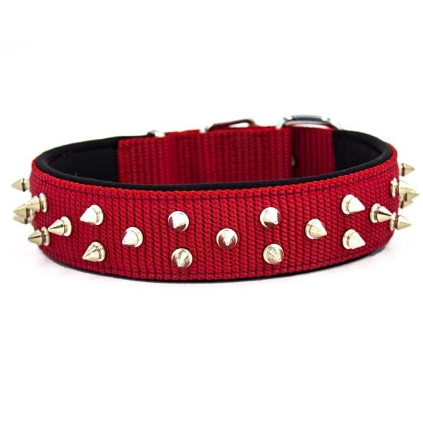 Doggie 4x55 Cm Comfort Dokuma Bol Çivili Boyun Tasması Small Kırmızı | Köpek Boyun Tasması