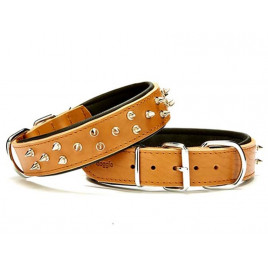 4x57-65 Cm Çift Kat Deri Güçlü Çivili Boyun Tasma Camel | Köpek Boyun Tasması 4x57-65 Cm Çift Kat Deri Güçlü Çivili Boyun Tasma Camel | Köpek Boyun Tasması