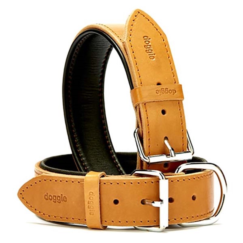 Doggie 4x57-65 Cm Yumuşak Pedli Firstclass Deri Boyun Tasma Camel | Köpek Boyun Tasması Doggie 4x57-65 Cm Yumuşak Pedli Firstclass Deri Boyun Tasma Camel | Köpek Boyun Tasması