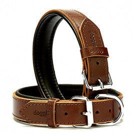 4x57-65 Cm Yumuşak Pedli Firstclass Deri Boyun Tasma Kahverengi | Köpek Boyun Tasması 4x57-65 Cm Yumuşak Pedli Firstclass Deri Boyun Tasma Kahverengi | Köpek Boyun Tasması