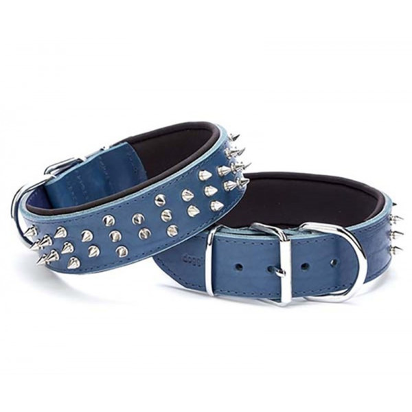 Doggie 5x50-60 Cm Çift Kat Deri Güçlü Çivili Boyun Tasma Royalblue | Köpek Boyun Tasması