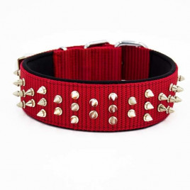 5x65 Cm Comfort Dokuma Bol Çivili Boyun Tasması Medium Kırmızı | Köpek Boyun Tasması 5x65 Cm Comfort Dokuma Bol Çivili Boyun Tasması Medium Kırmızı | Köpek Boyun Tasması