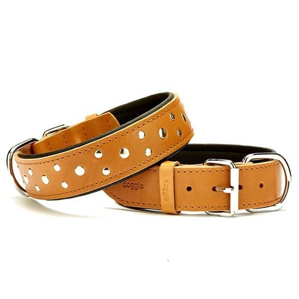 Doggie Co 4x65 Cmmfort Deri Rivetli Boyun Tasması Large Camel | Köpek Boyun Tasması