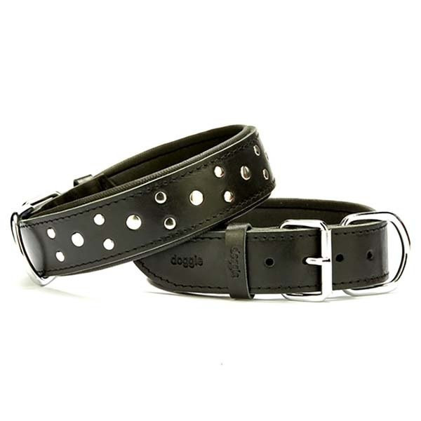 Doggie Comfort De 4x65 Cmri Rivetli Boyun Tasması Large Siyah | Köpek Boyun Tasması
