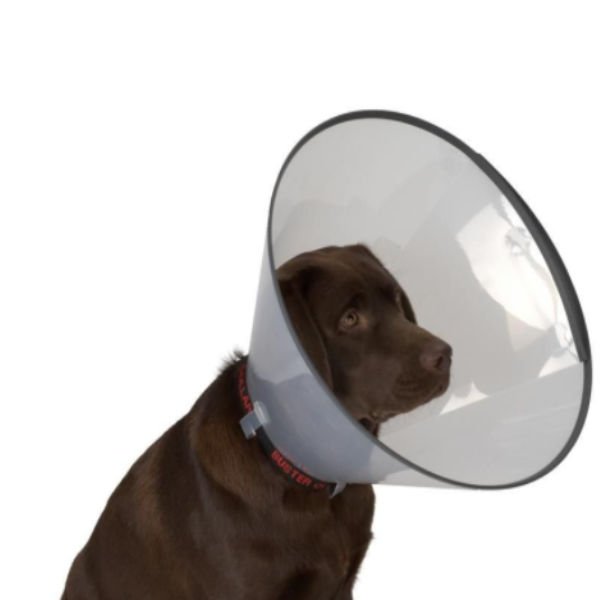 Doggie Comfort Elizabeth Yakalığı Standı | Köpek Medikal Ürün