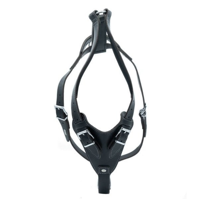 Doggie L Dragon Deri Göğüs Tasması Siyah 3x70-80 Cm | Köpek Göğüs Tasması