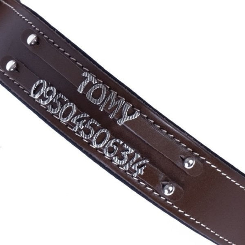 Doggie L Konfor Deri Çift İsimlikli Boyun Tasması Kahverengi 3.5x52-60 Cm | Köpek Boyun Tasması