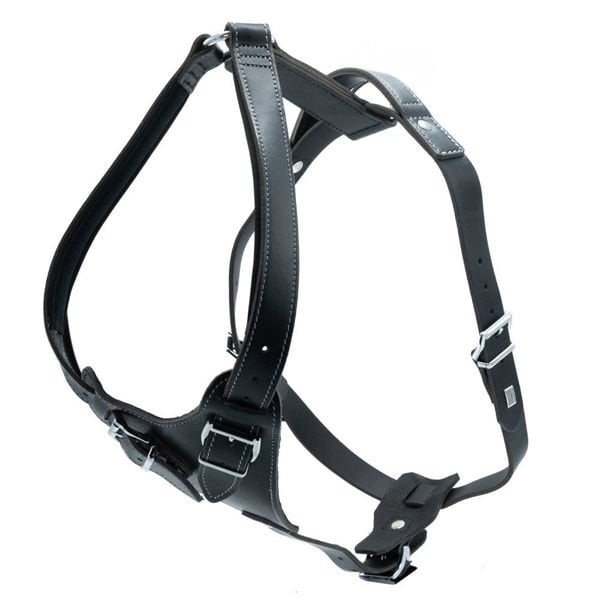 Doggie M Dragon Deri Göğüs Tasması Siyah 2.5x65-75 Cm | Köpek Göğüs Tasması