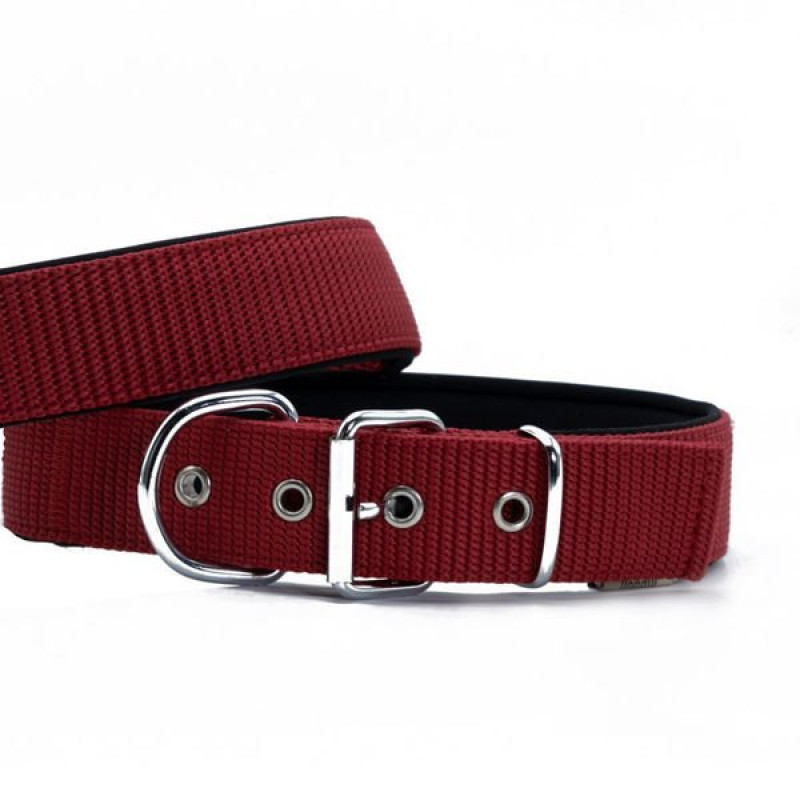 Doggie M Elit Dokuma Boyun Tasması Kırmızı 5x55-65 Cm | Köpek Boyun Tasması Doggie M Elit Dokuma Boyun Tasması Kırmızı 5x55-65 Cm | Köpek Boyun Tasması