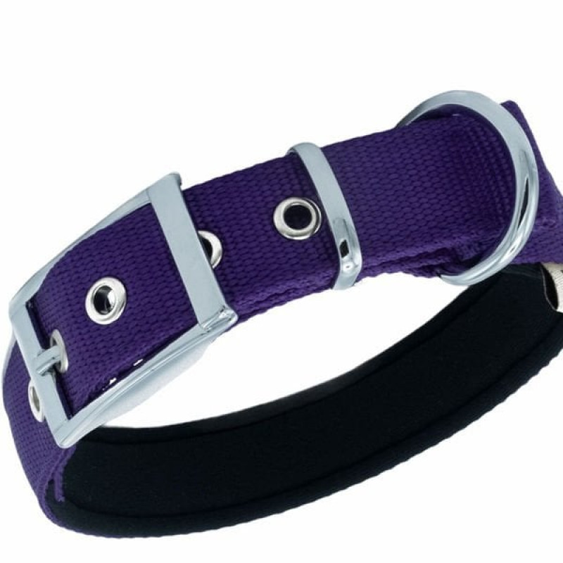 Doggie M Elit Dokuma Boyun Tasması Royal Mor 2.5x37-45 Cm | Köpek Boyun Tasması