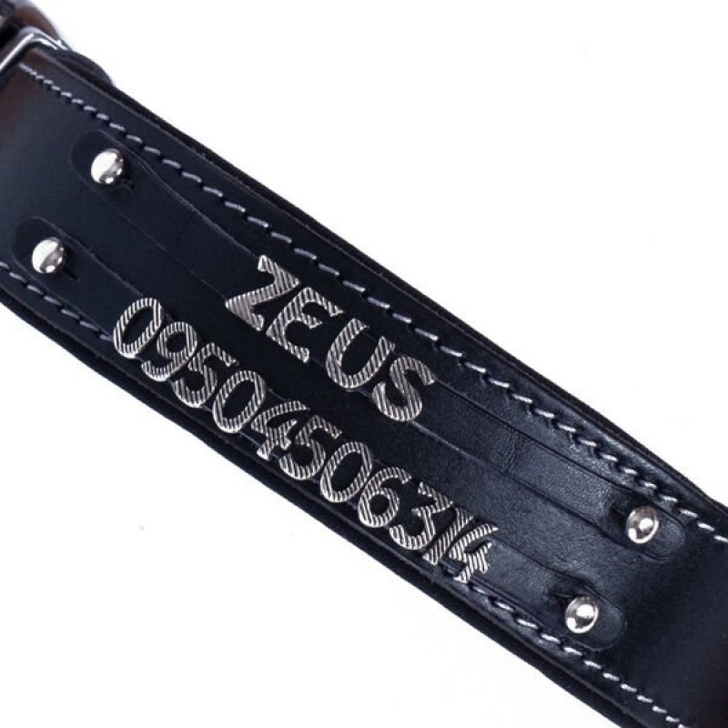 Doggie M Konfor Deri Çift İsimlikli Boyun Tasması Siyah 4x52 60 Cm | Köpek Boyun Tasması