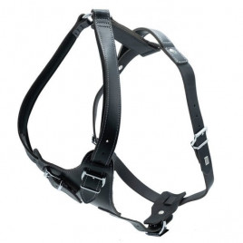 XL Dragon Deri Göğüs Tasması Siyah 3x75-90 Cm | Köpek Göğüs Tasması XL Dragon Deri Göğüs Tasması Siyah 3x75-90 Cm | Köpek Göğüs Tasması