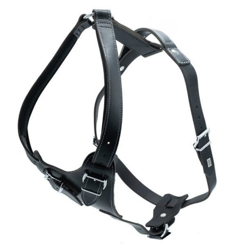 Doggie XL Dragon Deri Göğüs Tasması Siyah 3x75-90 Cm | Köpek Göğüs Tasması Doggie XL Dragon Deri Göğüs Tasması Siyah 3x75-90 Cm | Köpek Göğüs Tasması