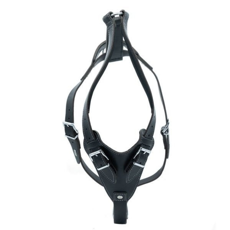 Doggie XL Dragon Deri Göğüs Tasması Siyah 3x75-90 Cm | Köpek Göğüs Tasması