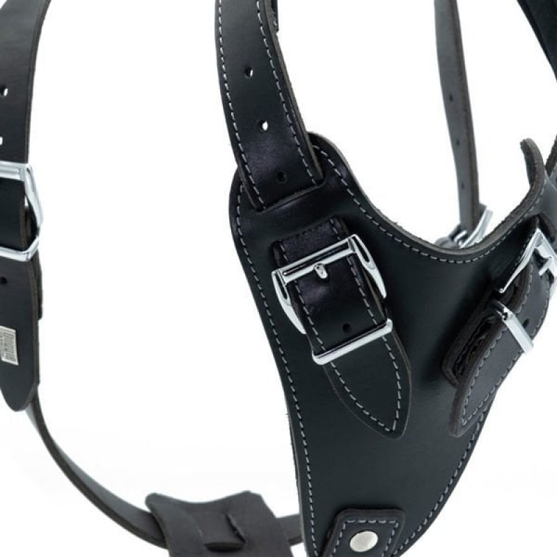 Doggie XL Dragon Deri Göğüs Tasması Siyah 3x75-90 Cm | Köpek Göğüs Tasması