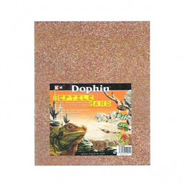 1 Kg Kırmızı Kum | Kaplumbağa Kumu