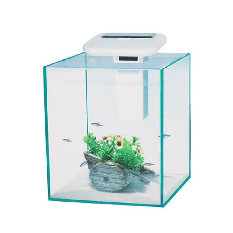 Dophin 25x25x30 Cm İç Filtre ve Işıklı Akvaryum Seti | Tatlı Su Akvaryumu