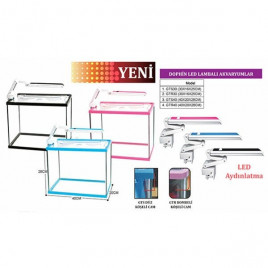40x20x28 Cm Bombeli Led Lambalı Akvaryum | Tatlı Su Akvaryumu 40x20x28 Cm Bombeli Led Lambalı Akvaryum | Tatlı Su Akvaryumu