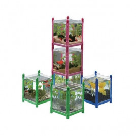 Beta Akvaryumu | Tatlı Su Akvaryumu Beta Akvaryumu | Tatlı Su Akvaryumu