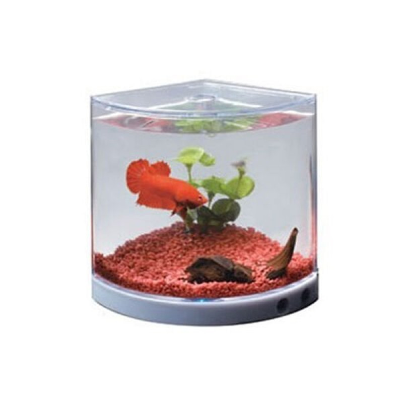 Dophin Dönen Renkli Işıklı Beta Akvaryumu | Tatlı Su Akvaryumu Dophin Dönen Renkli Işıklı Beta Akvaryumu | Tatlı Su Akvaryumu