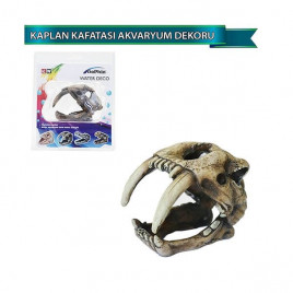 Kaplan Kafatası | Akvaryum Derecesi