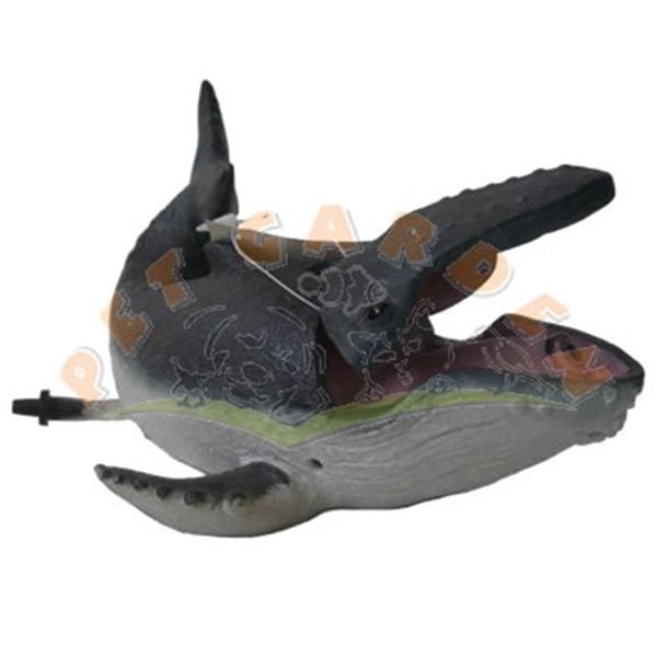 Dophin King Balina | Akvaryum Dekor Fon