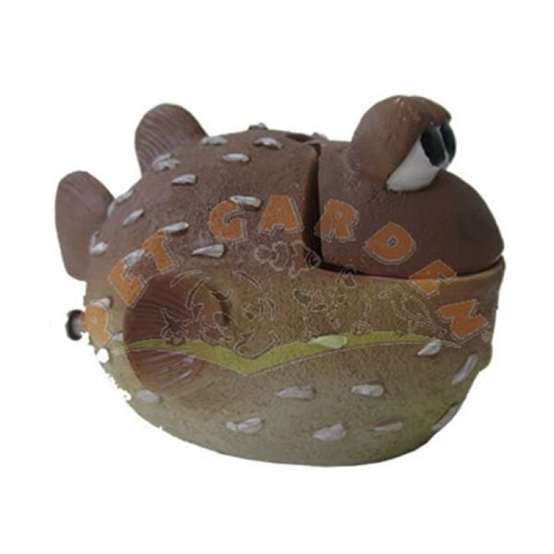 Dophin King Balon Balığı | Akvaryum Dekor Fon Dophin King Balon Balığı | Akvaryum Dekor Fon