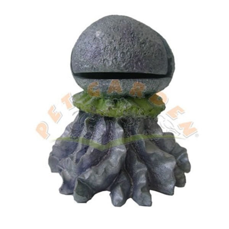 Dophin King Kalamar | Akvaryum Dekor Fon Dophin King Kalamar | Akvaryum Dekor Fon