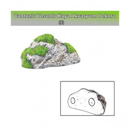 S Yosunlu Kaya | Akvaryum Dekor Fon