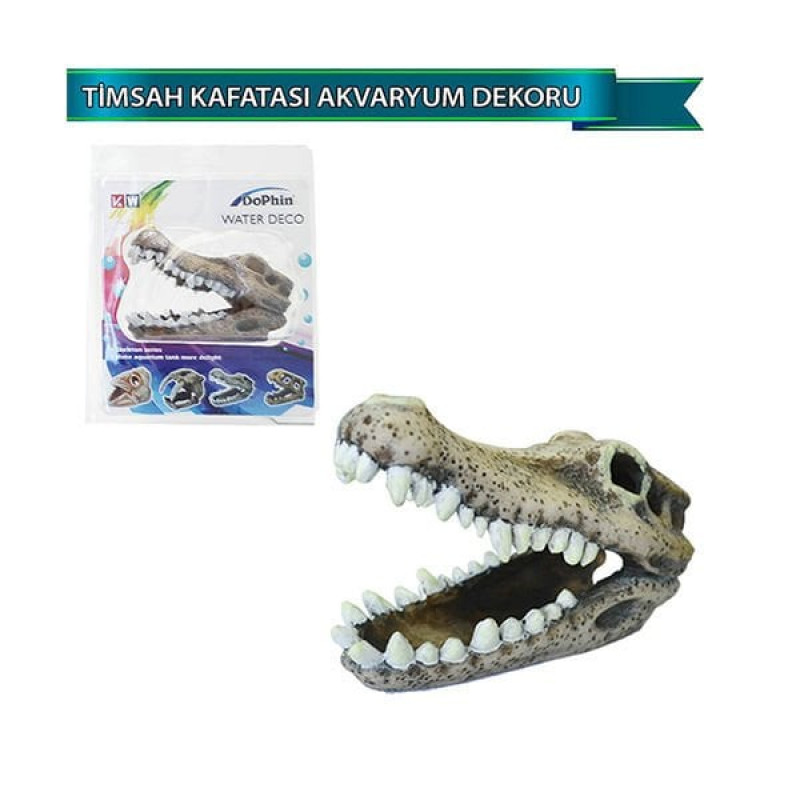 Dophin Timsah | Akvaryum Dekor Fon Dophin Timsah | Akvaryum Dekor Fon