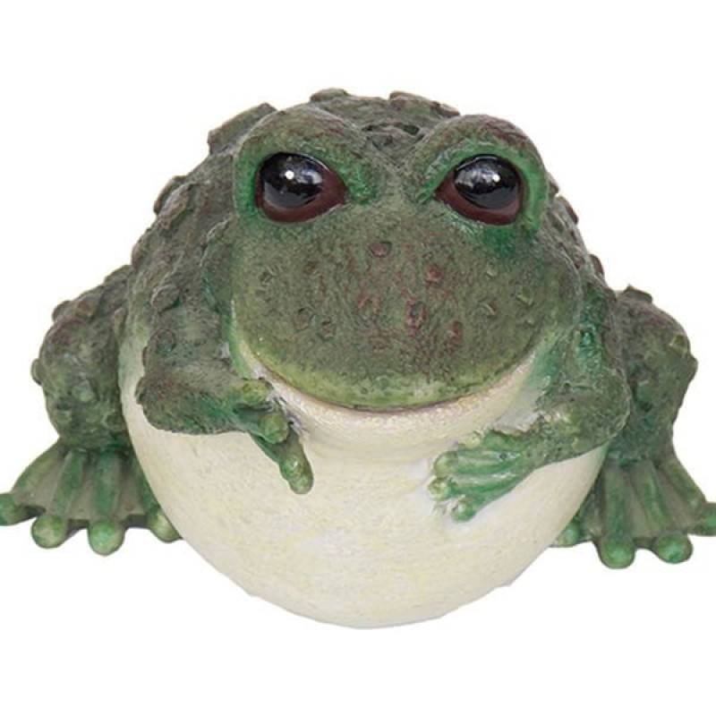 King Kabarcıklı Bilgiç Kurbağa | Akvaryum Dekor Fon King Kabarcıklı Bilgiç Kurbağa | Akvaryum Dekor Fon