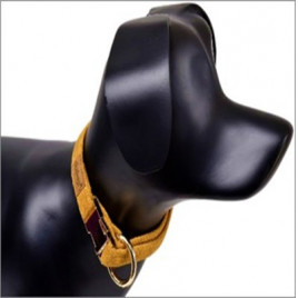 L-Xl G-Dog Boyun Tasması Sarı 40-68 Cm 20 Mm | Köpek Boyun Tasması L-Xl G-Dog Boyun Tasması Sarı 40-68 Cm 20 Mm | Köpek Boyun Tasması