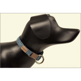 L-Xl G-Dog Boyun Tasması Turkuaz 40-68 Cm 20 Mm | Köpek Boyun Tasması L-Xl G-Dog Boyun Tasması Turkuaz 40-68 Cm 20 Mm | Köpek Boyun Tasması