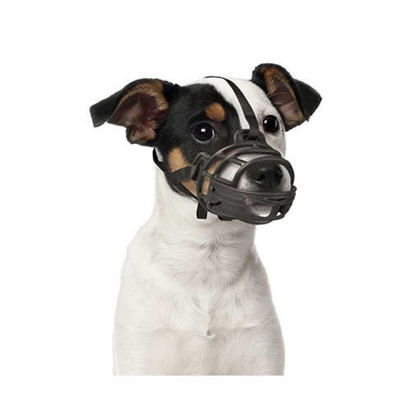 Duvo+ Kauçuk Köpek Ağızlığı Small