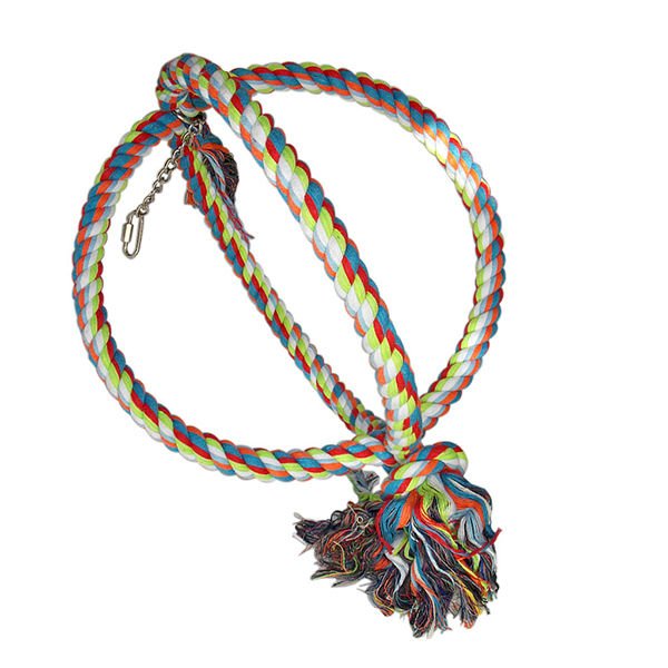 Eastland 12 Cm Renkli İpli Halka | Kuş Oyun Topu