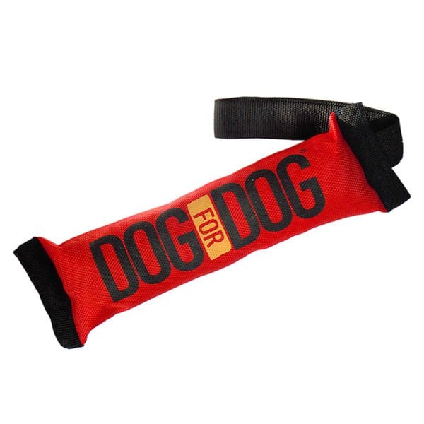 Eastland 27X6 Cm Sesli Eğitim | Sesli Köpek Oyuncağı