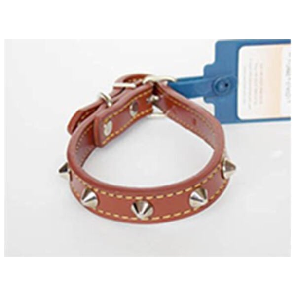 Eastland 35 cm Metal Aksesuarlı Deri Boyun | Köpek Boyun Tasması
