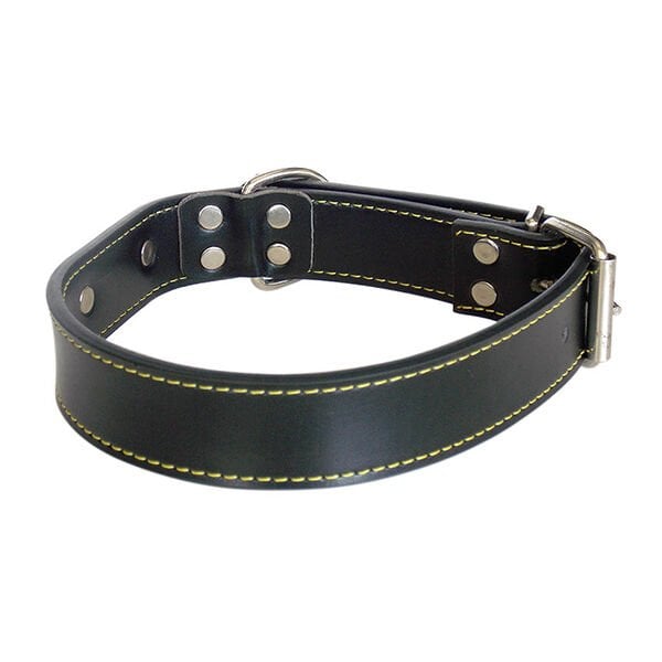 Eastland 50 Cm Deri Boyun | Köpek Boyun Tasması