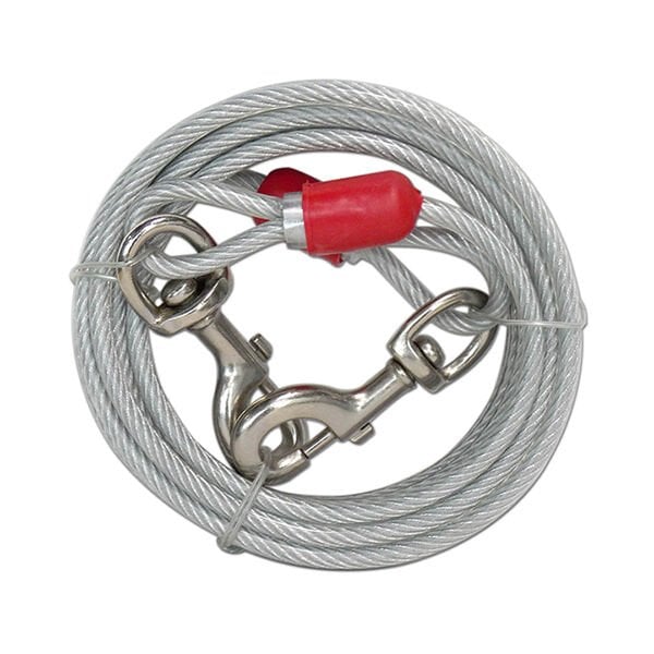 Eastland 6 M Bahçe İçin Nikel Kaplama | Köpek Bahçe Bağlama Kayışı