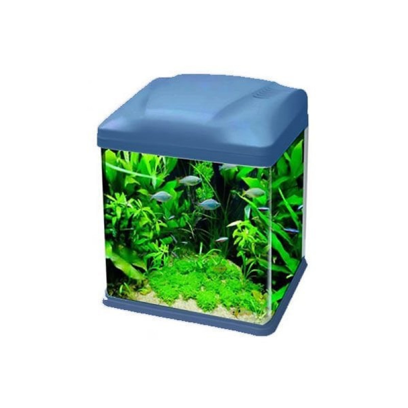 Ebo B226 Mini Fanus Balık Akvaryumu 26x19x32 Cm Mavi | Tatlı Su Akvaryumu