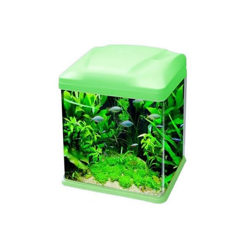 Ebo B226 Mini Fanus Balık Akvaryumu 26x19x32 Cm Yeşil | Tatlı Su Akvaryumu Ebo B226 Mini Fanus Balık Akvaryumu 26x19x32 Cm Yeşil | Tatlı Su Akvaryumu